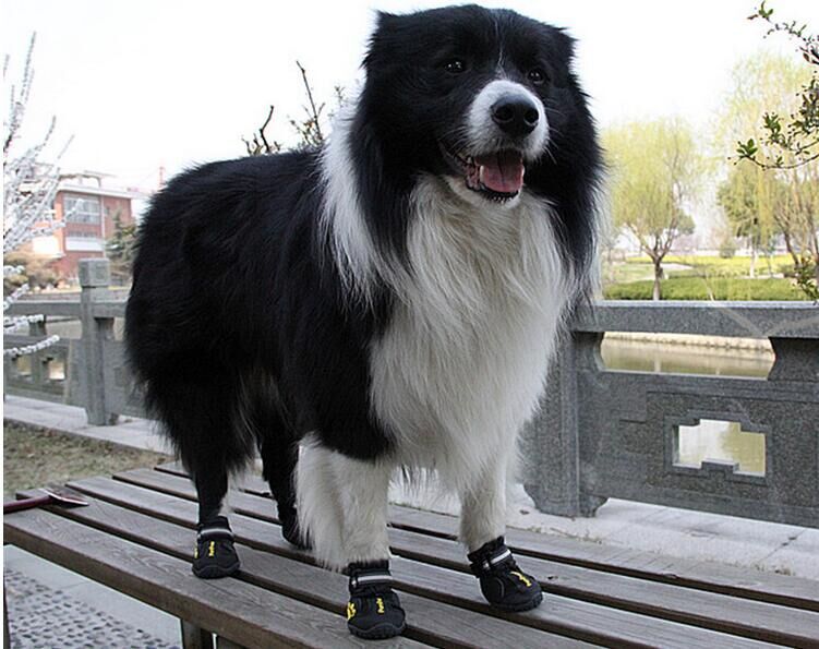 Non-slip Big Dog Shoes