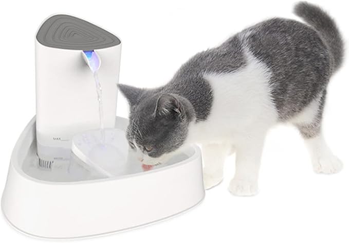 Pet Water Dispenser
