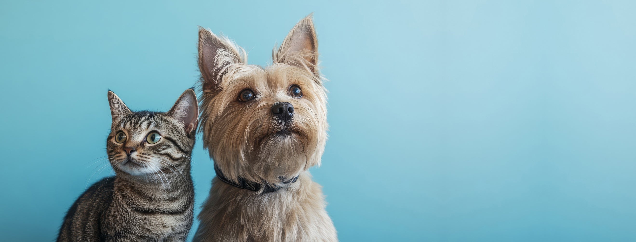 slider image slider_item_FKWV9K